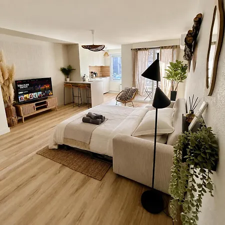 Apartment Moderne Et Cosy T2 - Parking&clim&piscine&balcon - Lyon 25 Min L'Isle-d'Abeau